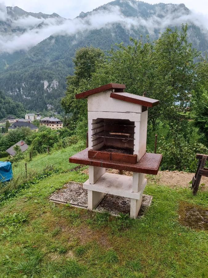 Ferienwohnung Im Nationalpark Gesaeuse Hieflau Exteriér fotografie